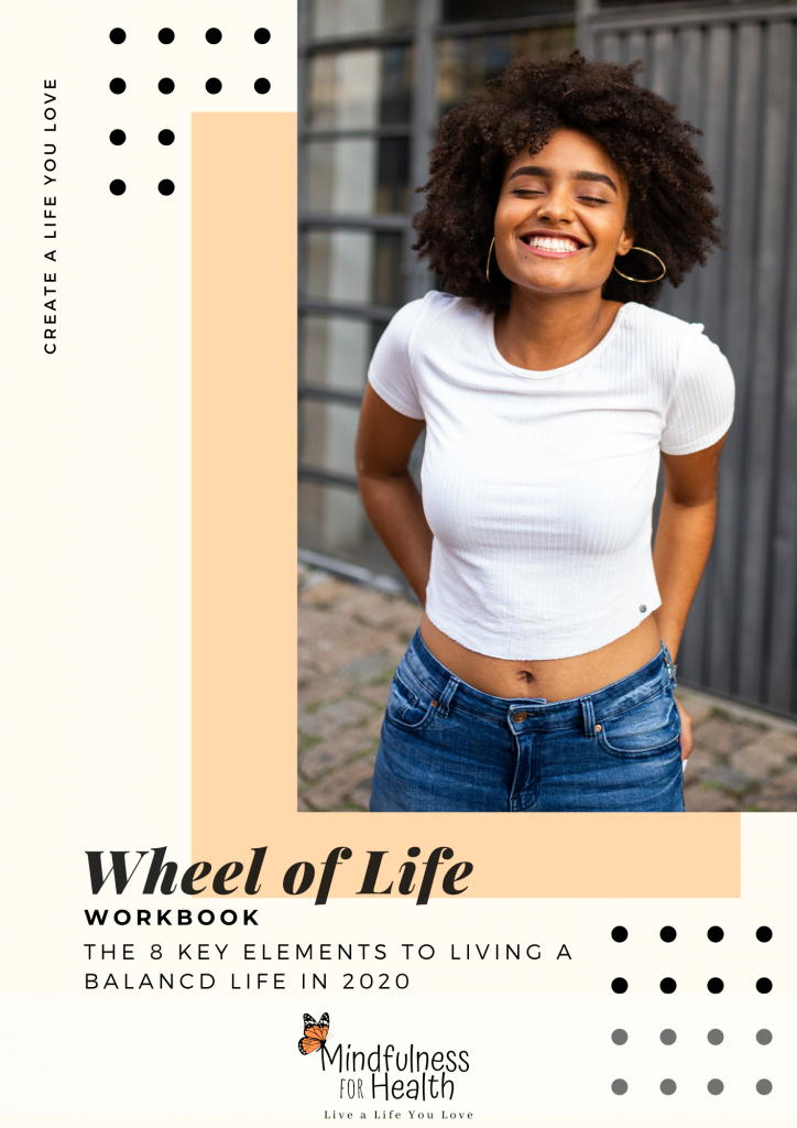Wheel of Life workbook cover